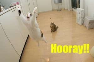 hooray