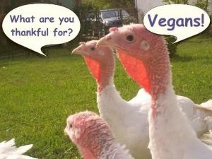 StuffingVegan_thanks
